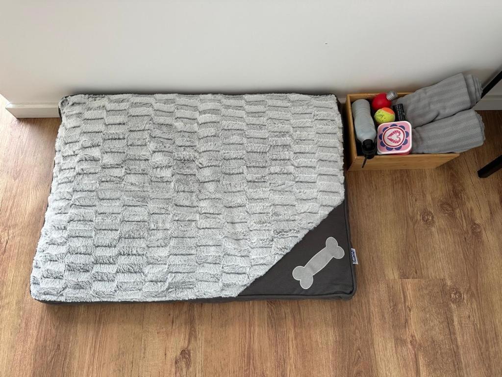 Vila The Gaol House, Dog Friendly! Kinlet Exteriér fotografie